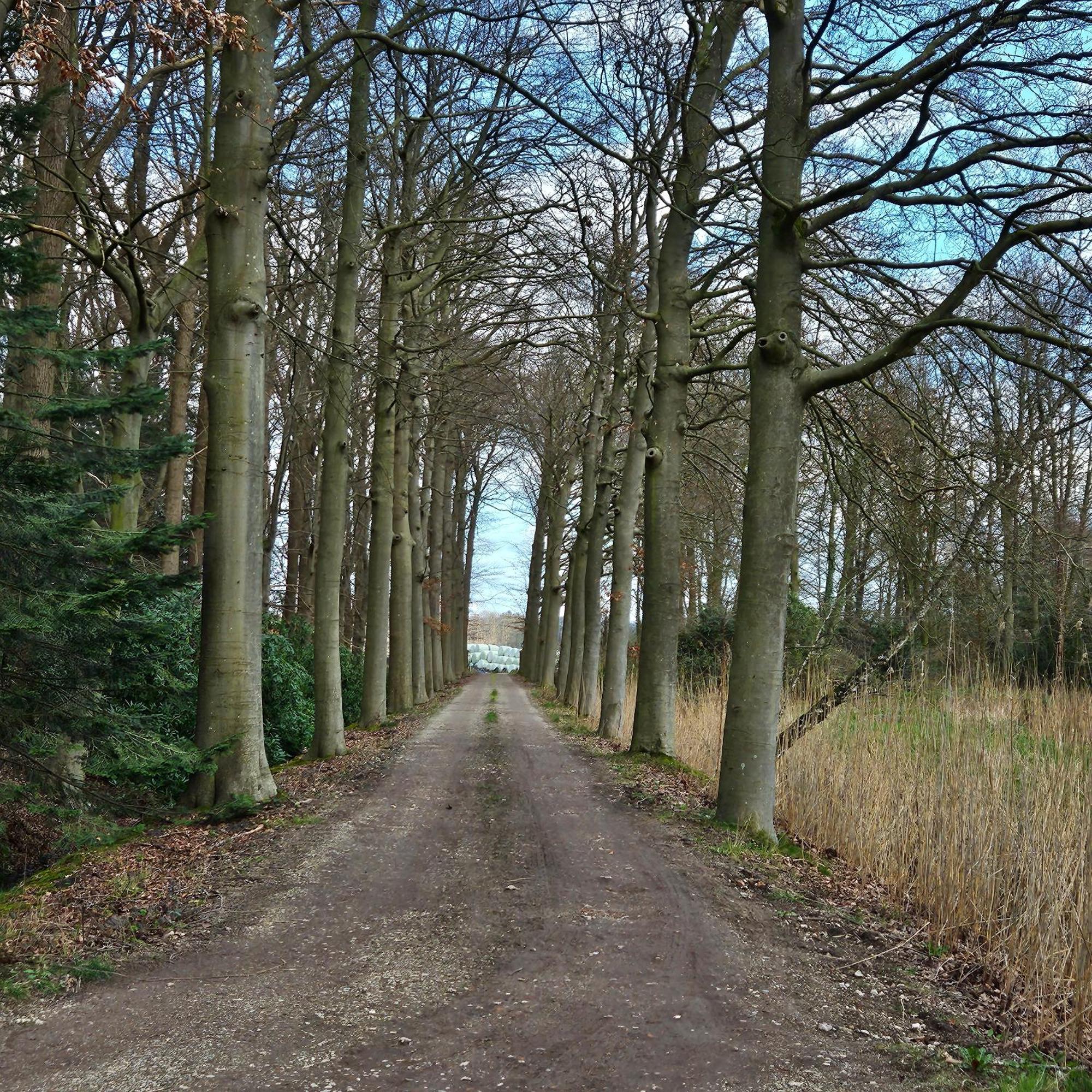 Holiday Home Countryside, Langbroek / ดอร์น ภายนอก รูปภาพ