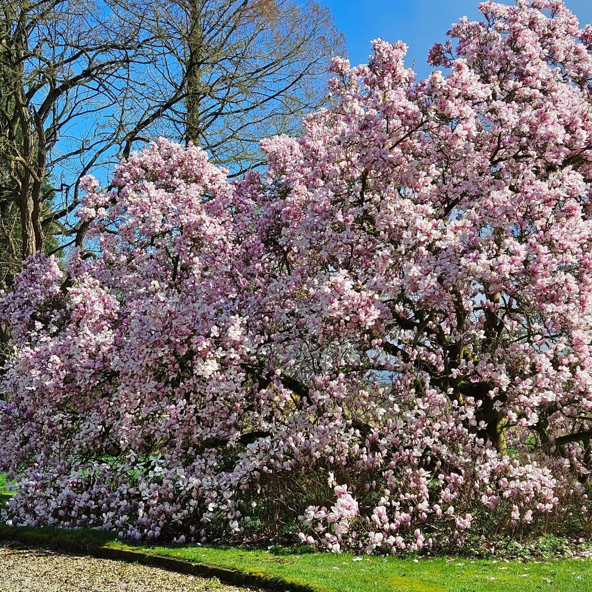Holiday Home Countryside, Langbroek / ดอร์น ภายนอก รูปภาพ