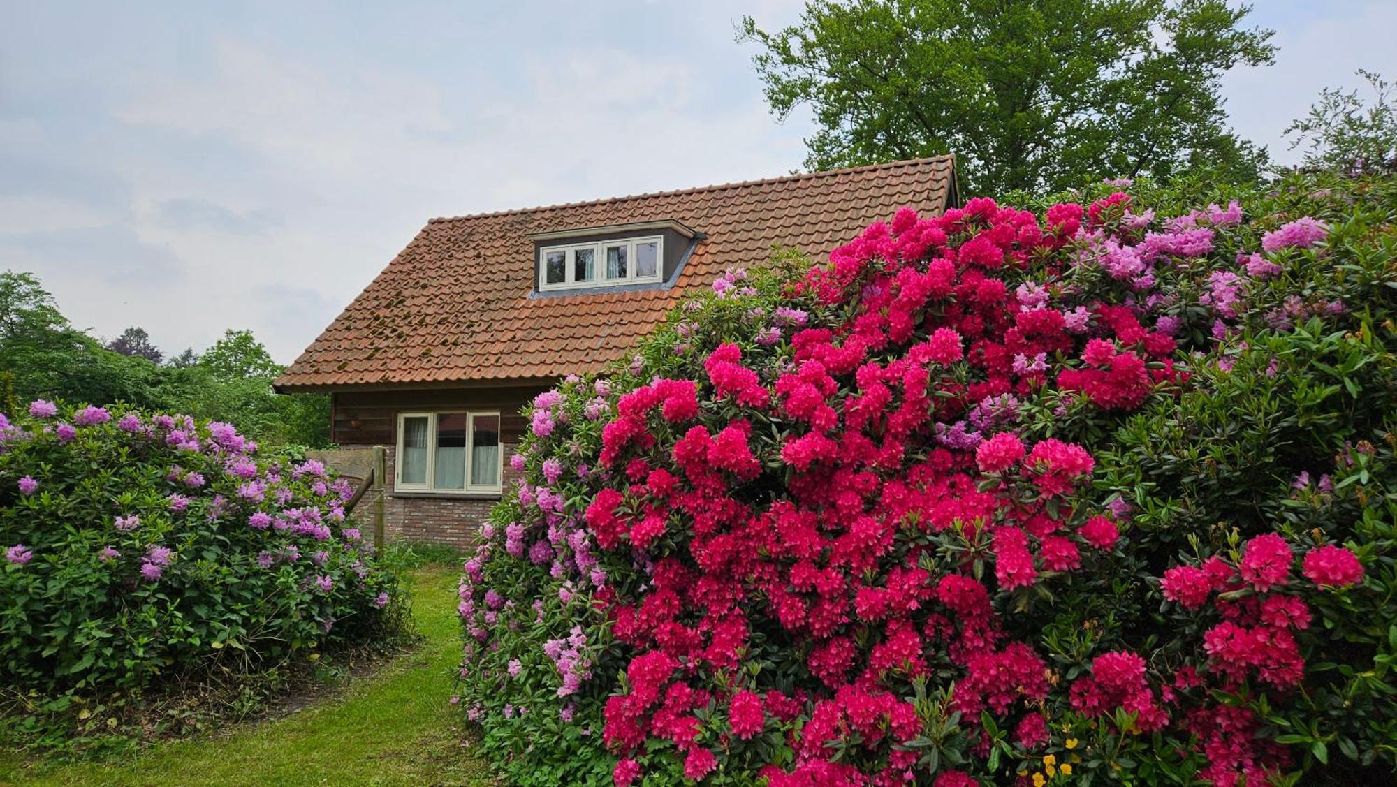 Holiday Home Countryside, Langbroek / ดอร์น ภายนอก รูปภาพ